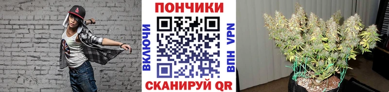 Марихуана MAZAR  ОМГ ОМГ маркетплейс  Нижние Серги  где купить наркоту 